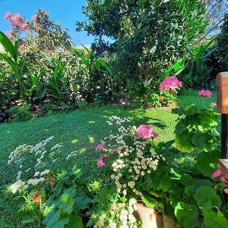 Green Apartments Appartamento Ksamil